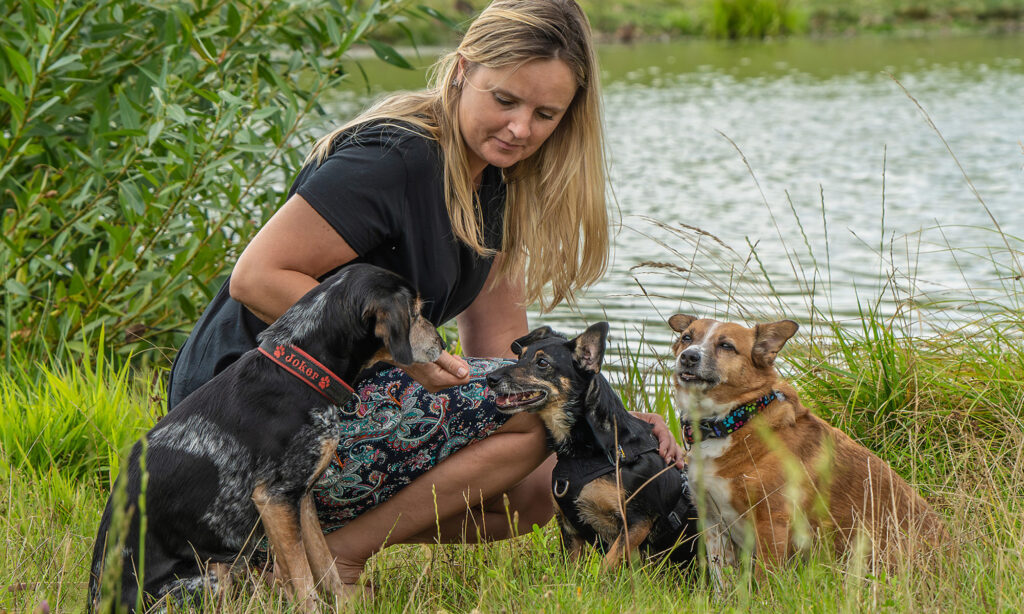 Szkolenie psów Gdańsk Trenerka Ania Behawiorysta Gdańsk Ania