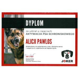 A-joker behawiorysta | Alicja A-joker behawiorysta | Alicja