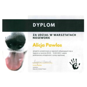 A-joker behawiorysta | Alicja A-joker behawiorysta | Alicja