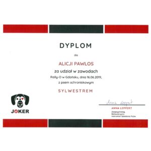 A-joker behawiorysta | Alicja A-joker behawiorysta | Alicja