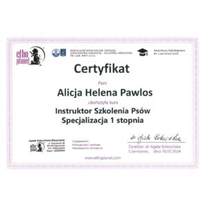 A-joker behawiorysta | Alicja A-joker behawiorysta | Alicja