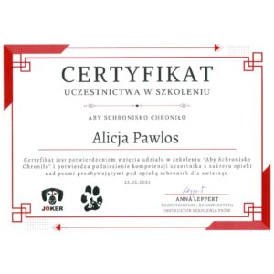 A-joker behawiorysta | Alicja A-joker behawiorysta | Alicja