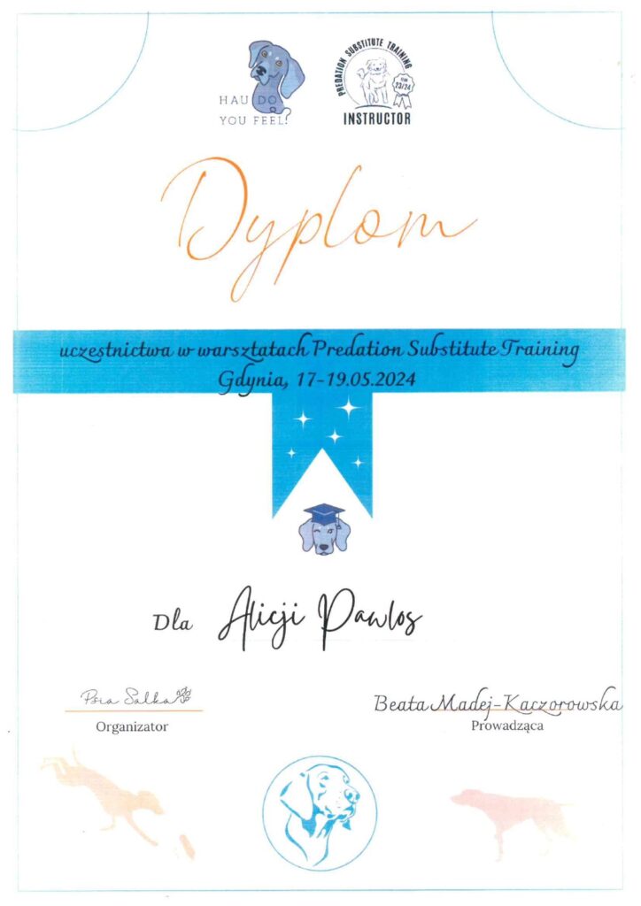 A-joker behawiorysta | Alicja A-joker behawiorysta | Alicja