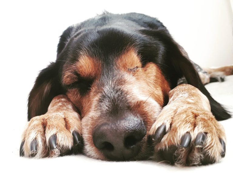 A-joker behawiorysta | Blog A-joker behawiorysta | Blog