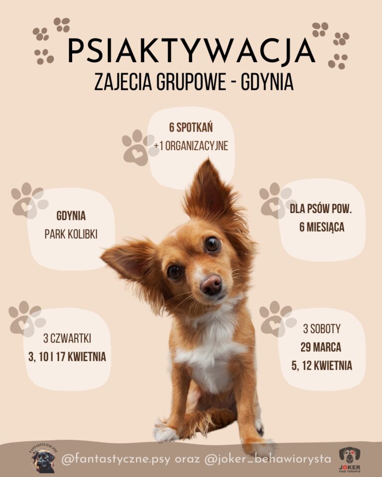 A-joker behawiorysta | „Psiaktywacja” – Grupowe Szaleństwo w Gdyni! A-joker behawiorysta | „Psiaktywacja” – Grupowe Szaleństwo w Gdyni!