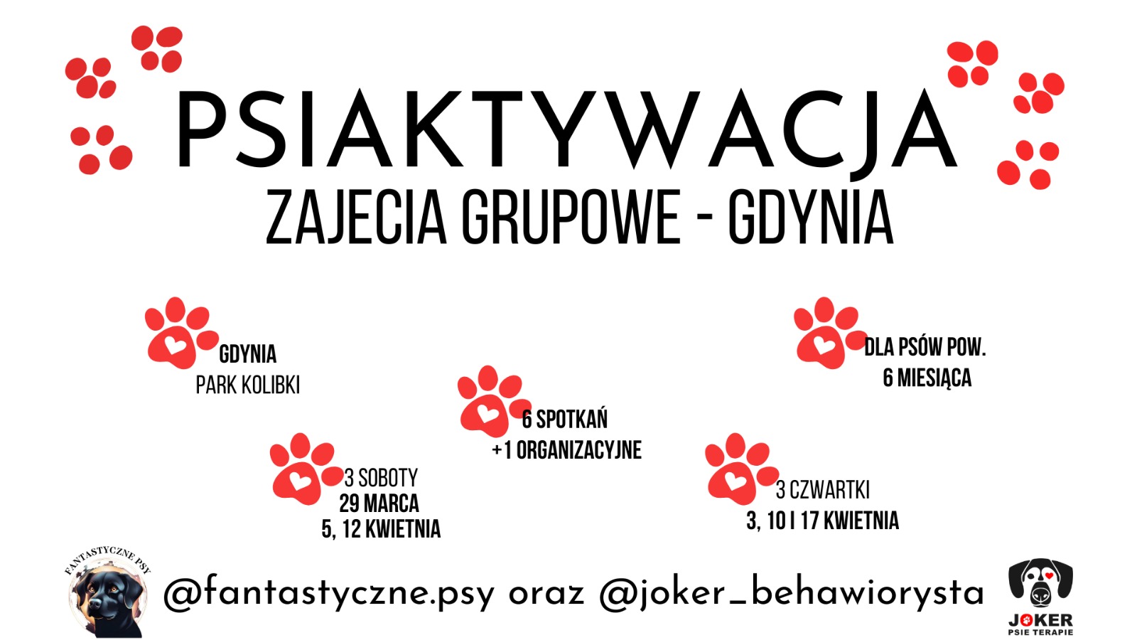 A-joker behawiorysta | „Psiaktywacja” – Grupowe Szaleństwo w Gdyni! A-joker behawiorysta | „Psiaktywacja” – Grupowe Szaleństwo w Gdyni!