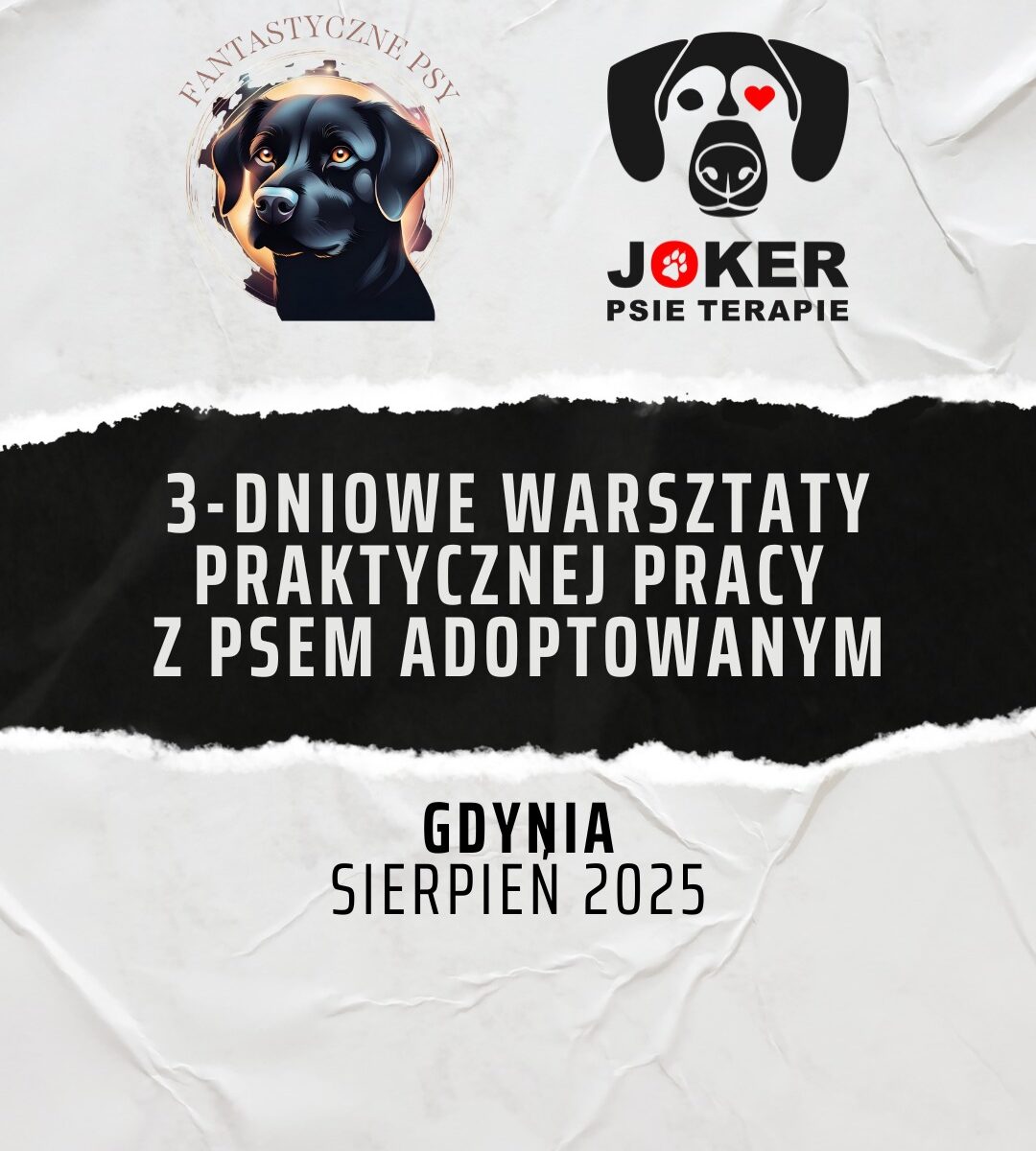 A-joker behawiorysta | Strona główna A-joker behawiorysta | Strona główna