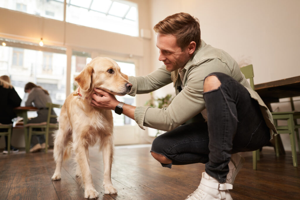 A-joker behawiorysta | Szkolenia dla firm