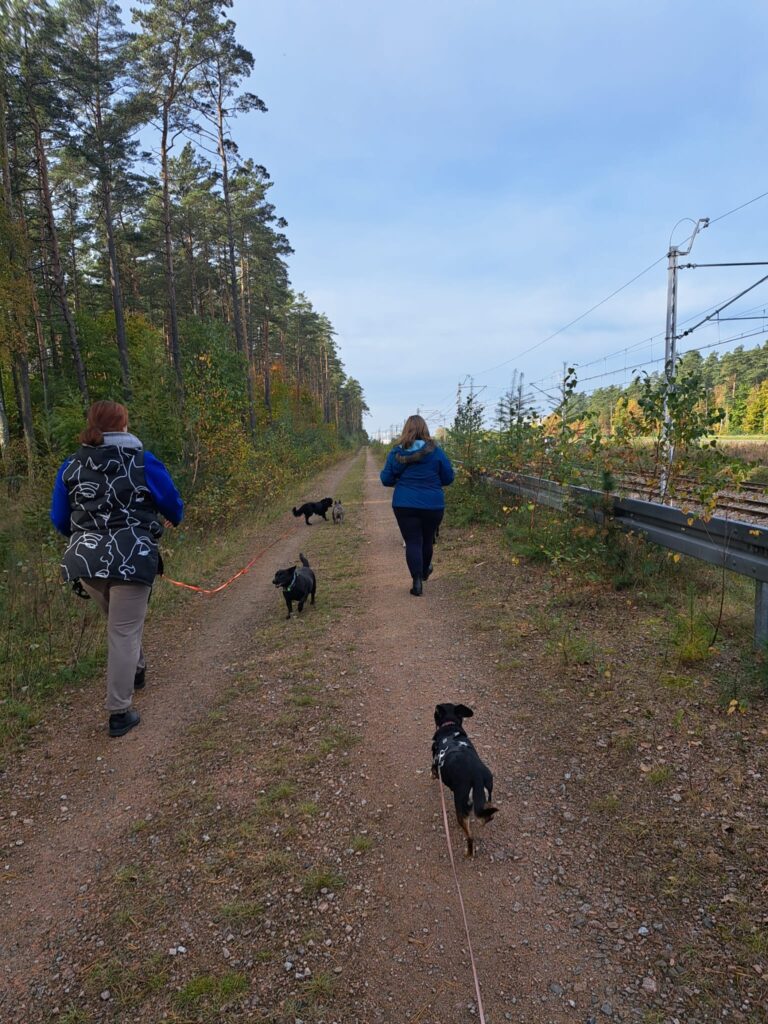 A-joker behawiorysta | Spacery